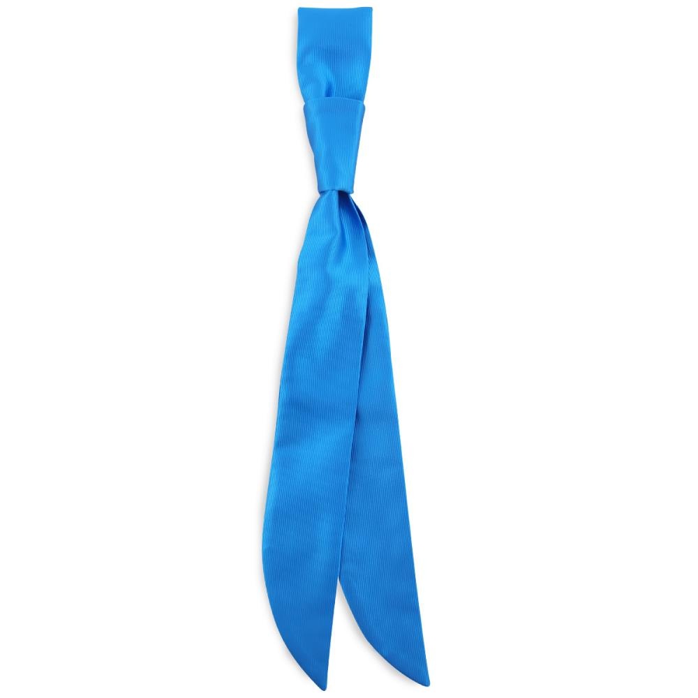 bistrodas process blue repp - 1