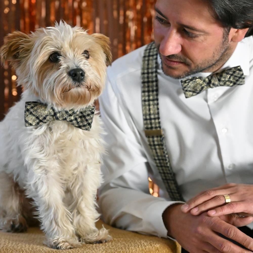 strik Radiant Tartan - 1